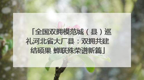 全国双拥模范城（县）巡礼河北省大厂县：双拥共建结硕果 蝉联殊荣谱新篇