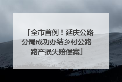 全市首例！延庆公路分局成功办结乡村公路路产损失赔偿案