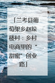 兰考县葡萄架乡赵垛楼村：乡村电商里的“甜蜜”创业路