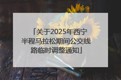 关于2025年西宁半程马拉松期间公交线路临时调整通知