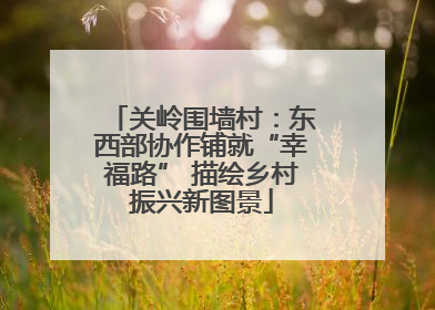 关岭围墙村：东西部协作铺就“幸福路” 描绘乡村振兴新图景