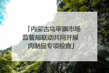 内蒙古乌审旗市场监管局联动共同开展肉制品专项检查