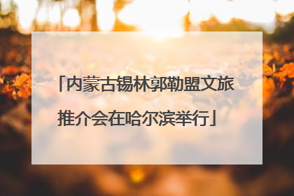 内蒙古锡林郭勒盟文旅推介会在哈尔滨举行