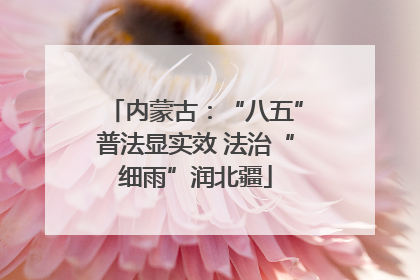 内蒙古：“八五”普法显实效 法治“细雨”润北疆