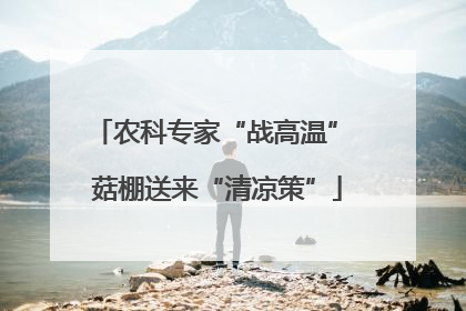 农科专家“战高温” 菇棚送来“清凉策”