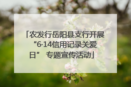 农发行岳阳县支行开展“6·14信用记录关爱日” 专题宣传活动