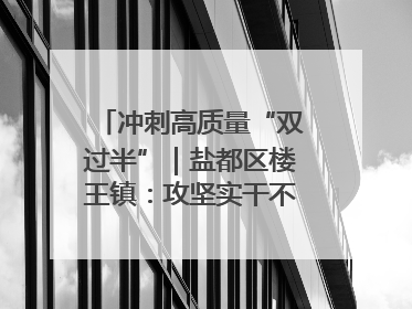 冲刺高质量“双过半”｜盐都区楼王镇：攻坚实干不停歇 奋力跑赢“上半场”