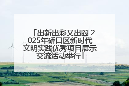出新出彩又出圈 2025年硚口区新时代文明实践优秀项目展示交流活动举行