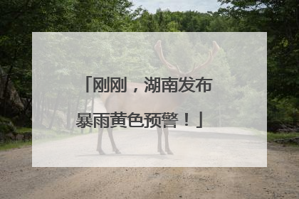 刚刚，湖南发布暴雨黄色预警！