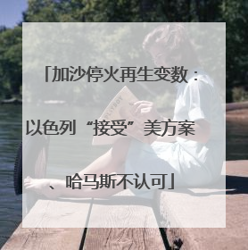 加沙停火再生变数：以色列“接受”美方案、哈马斯不认可