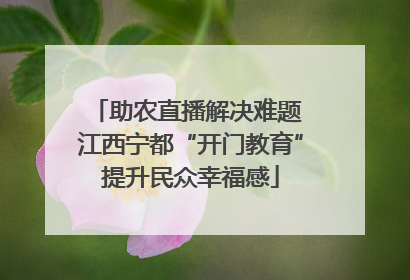 助农直播解决难题 江西宁都“开门教育”提升民众幸福感