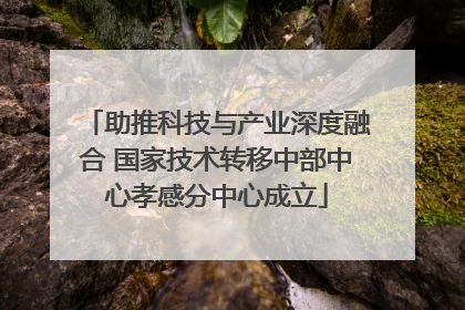 助推科技与产业深度融合 国家技术转移中部中心孝感分中心成立