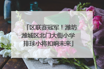 区联赛冠军！潍坊潍城区北门大街小学排球小将扣响未来