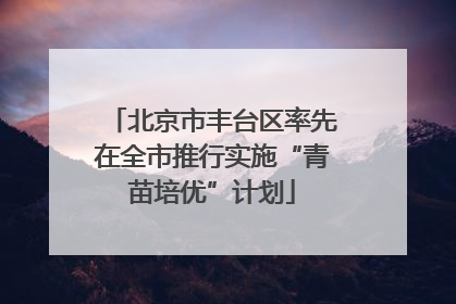 北京市丰台区率先在全市推行实施“青苗培优”计划