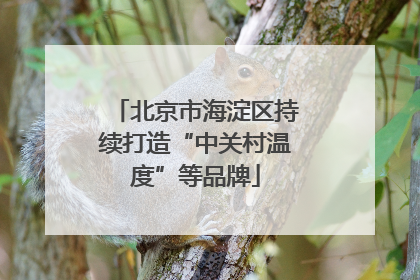北京市海淀区持续打造“中关村温度”等品牌