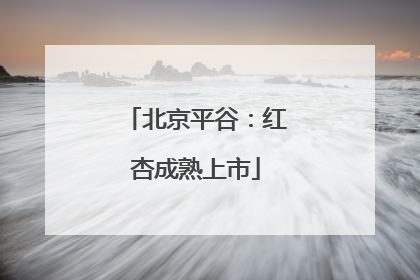 北京平谷：红杏成熟上市