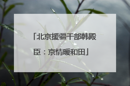 北京援疆干部韩殿臣：京情暖和田