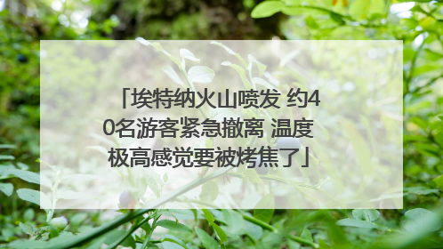 埃特纳火山喷发 约40名游客紧急撤离 温度极高感觉要被烤焦了