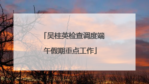 吴桂英检查调度端午假期重点工作