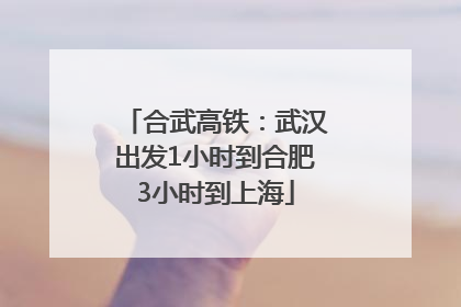 合武高铁：武汉出发1小时到合肥3小时到上海