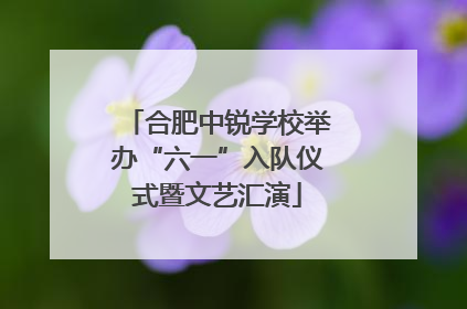 合肥中锐学校举办“六一”入队仪式暨文艺汇演