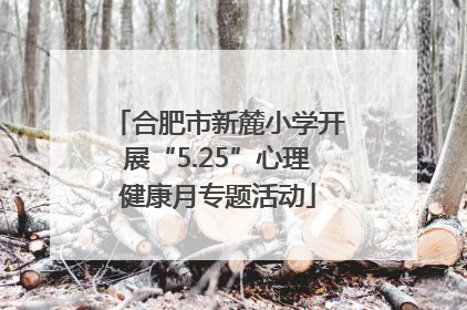 合肥市新麓小学开展“5.25”心理健康月专题活动