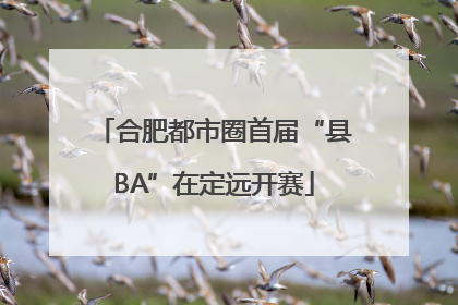 合肥都市圈首届“县BA”在定远开赛