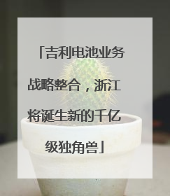 吉利电池业务战略整合，浙江将诞生新的千亿级独角兽