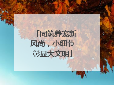 同筑养宠新风尚，小细节彰显大文明