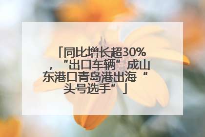 同比增长超30%，“出口车辆”成山东港口青岛港出海“头号选手”