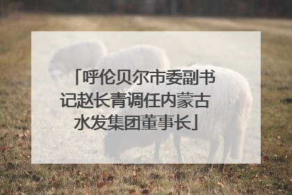 呼伦贝尔市委副书记赵长青调任内蒙古水发集团董事长