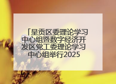 呈贡区委理论学习中心组暨数字经济开发区党工委理论学习中心组举行2025年第七次学习会议