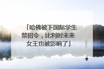 哈佛被下国际学生禁招令，比利时未来女王也被影响了