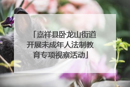 嘉祥县卧龙山街道开展未成年人法制教育专项视察活动