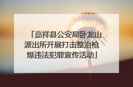 嘉祥县公安局卧龙山派出所开展打击整治枪爆违法犯罪宣传活动