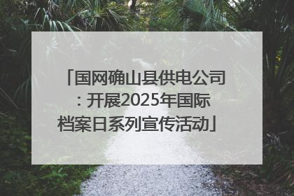 国网确山县供电公司：开展2025年国际档案日系列宣传活动