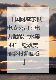 国网城东供电支公司：电力赋能“水果村” 绘就美丽乡村新画卷