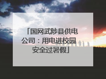 国网武陟县供电公司：用电进校园  安全过暑假