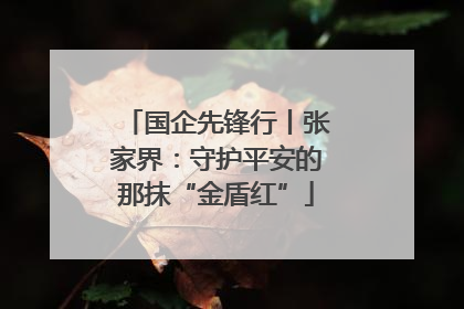 国企先锋行丨张家界：守护平安的那抹“金盾红”
