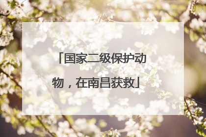 国家二级保护动物，在南昌获救