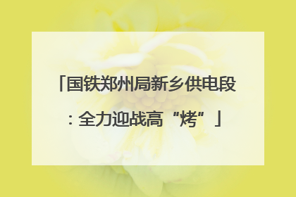 国铁郑州局新乡供电段：全力迎战高“烤”