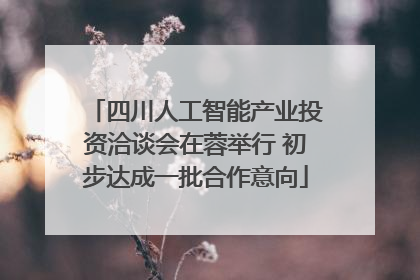 四川人工智能产业投资洽谈会在蓉举行 初步达成一批合作意向