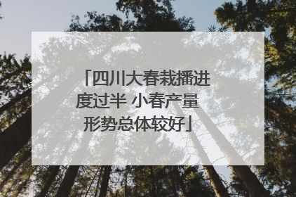 四川大春栽播进度过半 小春产量形势总体较好