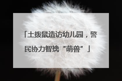 土拨鼠造访幼儿园，警民协力智擒“萌兽”