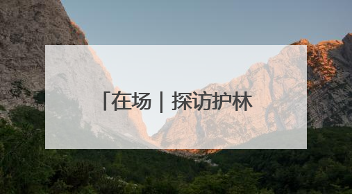 在场｜探访护林石屋，体验“百人传水”！原山主题党日活动“走新”更“走心”