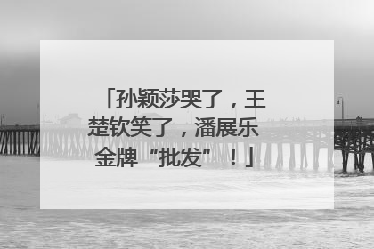 孙颖莎哭了，王楚钦笑了，潘展乐金牌“批发”！