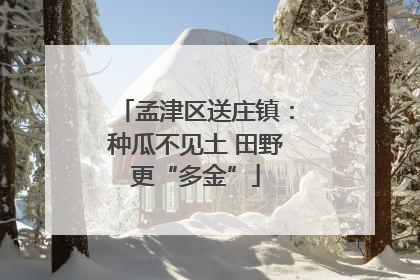 孟津区送庄镇：种瓜不见土 田野更“多金”