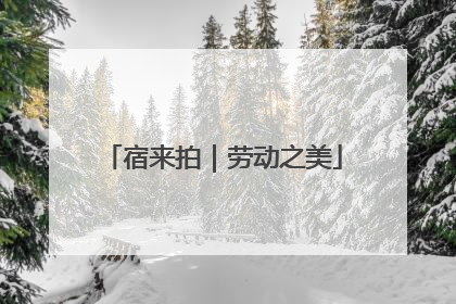 宿来拍｜劳动之美