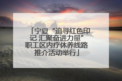 宁夏“追寻红色印记 汇聚奋进力量”职工区内疗休养线路推介活动举行
