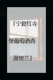 宁夏红寺堡葡萄酒香漫贺兰
